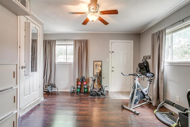 3554 Cromart Ct N, Fort Worth, TX 76133 - exercise area featuring wood finished floors, ceiling fan, and ornamental molding