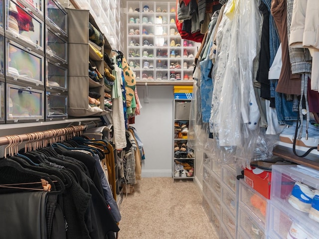 walk in closet featuring carpet