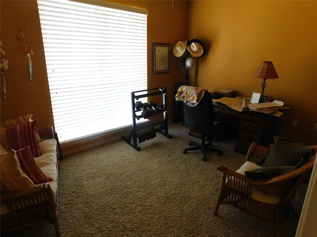 view of carpeted office space