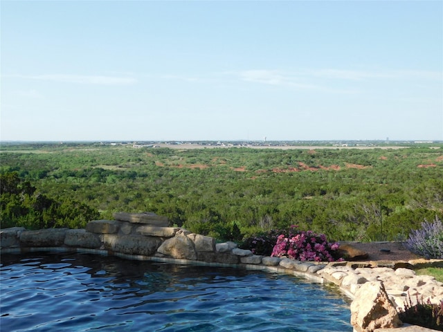 view of pool with a forest view