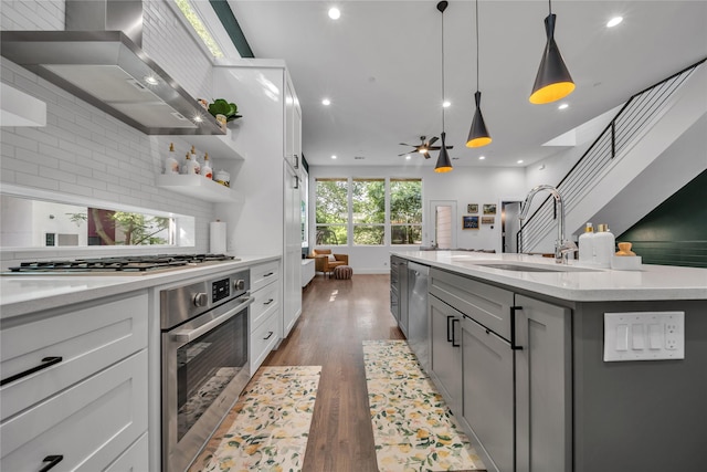 kitchen with stainless steel appliances, wall chimney exhaust hood, a sink, wood finished floors, and white cabinetry