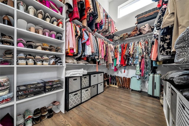walk in closet featuring wood finished floors and radiator heating unit