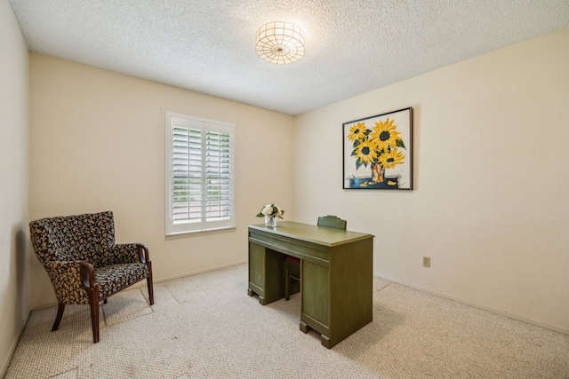 614 Willowbrook Cir, Duncanville, TX 75116 - home office with light colored carpet and a textured ceiling