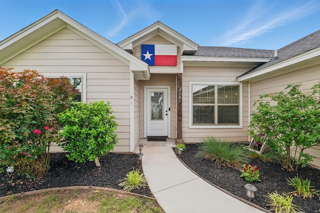 2607 Austin Dr, Granbury, TX 76048 - entrance to property with roof with shingles