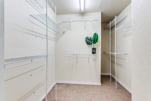 6918 Blackwood Dr, Dallas, TX 75231 - walk in closet featuring carpet floors
