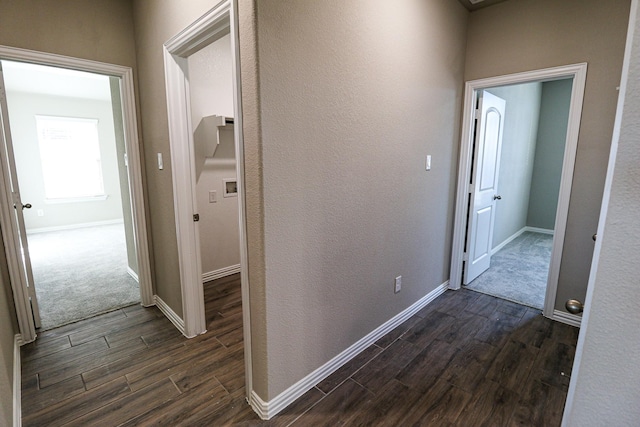 504 Lakeway Ln, Justin, TX 76247 - hallway with dark wood-style floors and baseboards