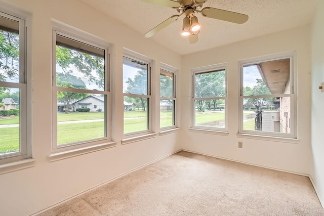 107 San Medina Ln, Joshua, TX 76058 - unfurnished sunroom featuring carpet floors
