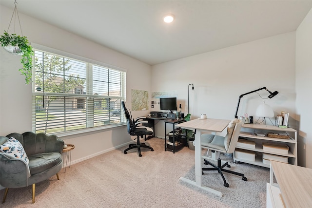 148 Greenback Trl, Fort Worth, TX 76131 - office featuring light carpet and baseboards