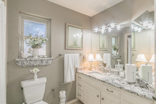 bathroom with toilet and vanity