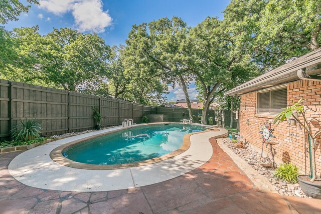 view of swimming pool featuring a fenced backyard and a patio area
