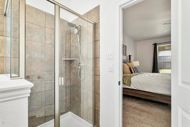 6273 El Capitan St, Fort Worth, TX 76179 - ensuite bathroom with a shower stall