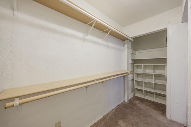 spacious closet with carpet floors