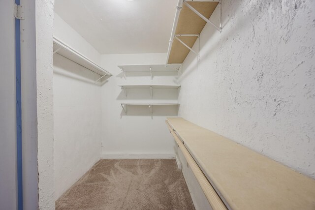 walk in closet with attic access and carpet