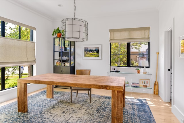 6905 Northridge Dr, Dallas, TX 75214 - office space with plenty of natural light, ornamental molding, light wood finished floors, and baseboards