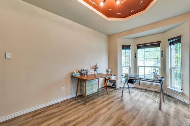 314 Trakehner Trl, Celina, TX 75009 - office area featuring wood finished floors, a tray ceiling, and baseboards