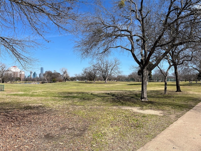 218 E 5th St, Dallas, TX 75203 - view of green lawn