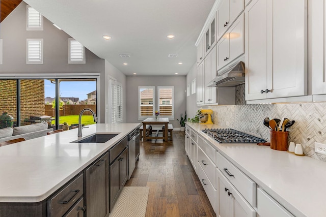 175 Stirling Dr, Argyle, TX 76226 - kitchen featuring under cabinet range hood, a sink, appliances with stainless steel finishes, dark wood-style floors, and light countertops