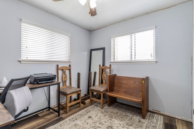 office featuring wood finished floors, healthy amount of natural light, and ceiling fan