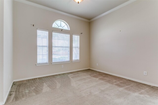 carpeted spare room with crown molding and baseboards