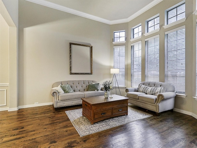 6769 Canal Ct, Grand Prairie, TX 75054 - living area featuring crown molding, dark wood-style flooring, and baseboards