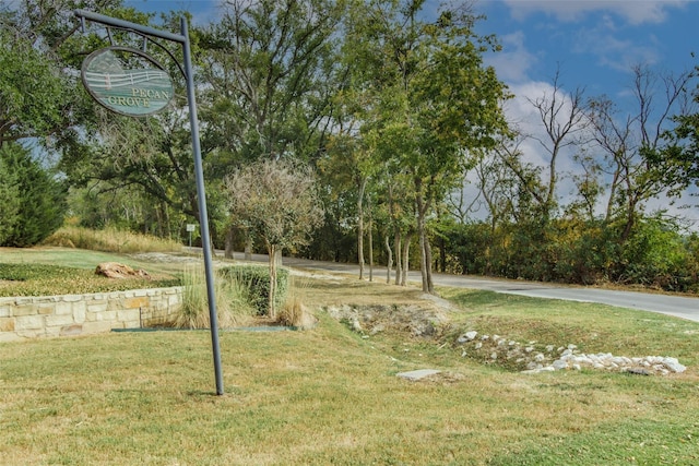2617 Silver Leaf Ln, Anna, TX 75409 - view of green lawn