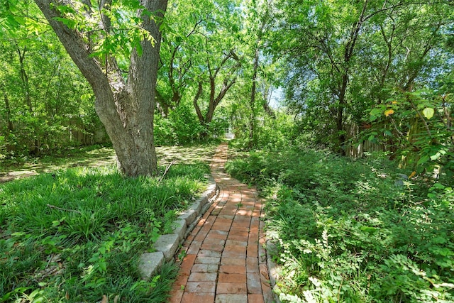 214 Country Club Rd, Hillsboro, TX 76645 - view of yard