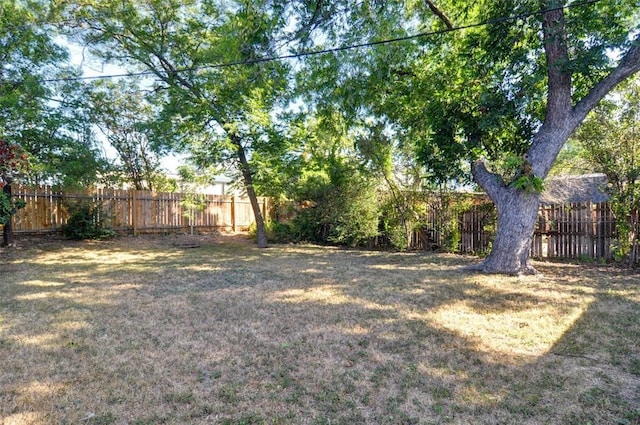 4363 Lisbon St, Fort Worth, TX 76107 - view of yard