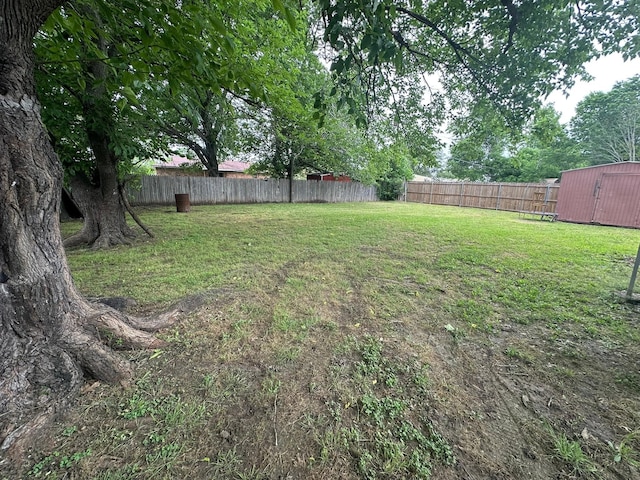 204 Austin Ave, Corsicana, TX 75110 - view of yard with a storage shed and an outbuilding