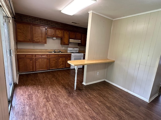 204 Austin Ave, Corsicana, TX 75110 - kitchen featuring white gas range, dark wood-type flooring, under cabinet range hood, a sink, and ornamental molding