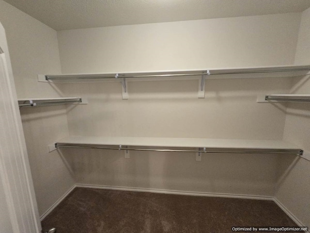 556 Pleasant Park Dr, Wilmer, TX 75172 - walk in closet featuring dark colored carpet