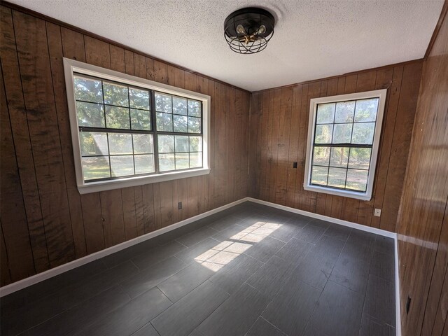 11728 Fm 1399, Marietta, TX 75566 - unfurnished room featuring plenty of natural light, a textured ceiling, wood walls, baseboards, and dark wood-type flooring