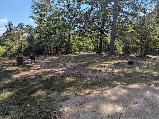 11728 Fm 1399, Marietta, TX 75566 - view of yard