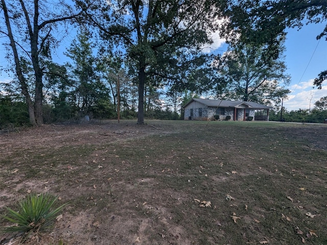 11728 Fm 1399, Marietta, TX 75566 - view of yard