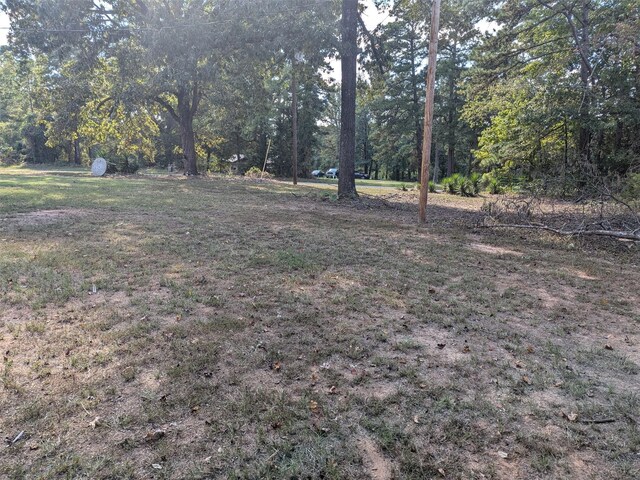 11728 Fm 1399, Marietta, TX 75566 - view of yard with a wooded view