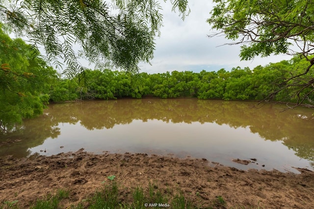TBD Fm 3116, Anson, TX 79501