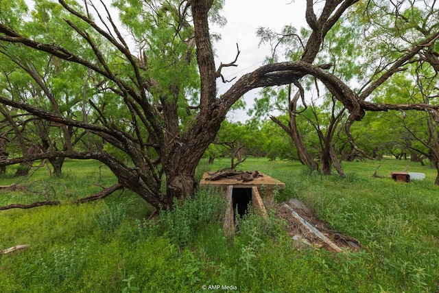 TBD Fm 3116, Anson, TX 79501