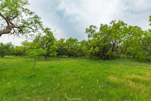 TBD Fm 3116, Anson, TX 79501