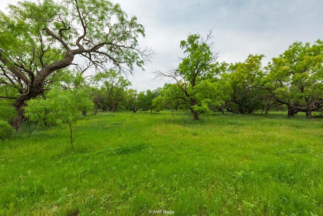 TBD Fm 3116, Anson, TX 79501