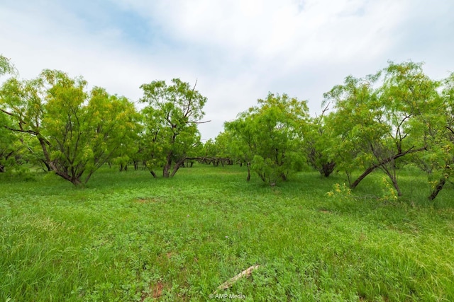 TBD Fm 3116, Anson, TX 79501