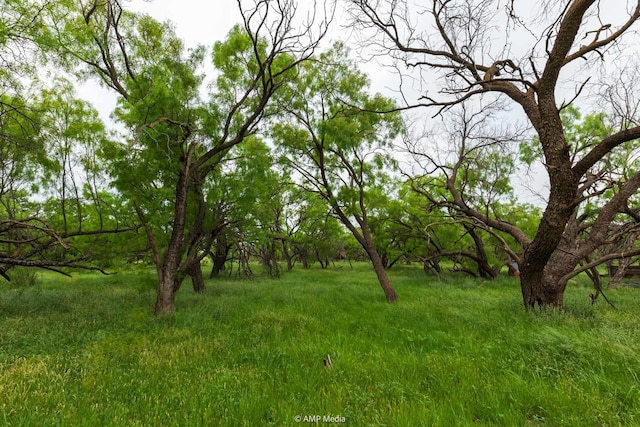 TBD Fm 3116, Anson, TX 79501