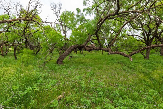 TBD Fm 3116, Anson, TX 79501