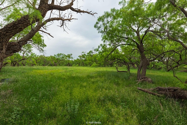 TBD Fm 3116, Anson, TX 79501