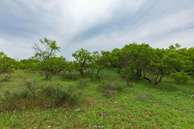TBD Fm 3116, Anson, TX 79501