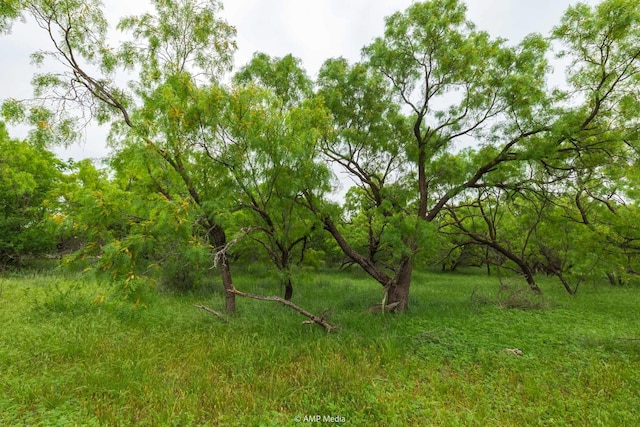 TBD Fm 3116, Anson, TX 79501