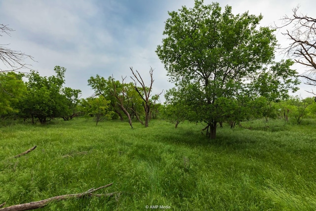 TBD Fm 3116, Anson, TX 79501