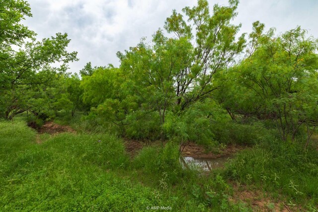 TBD Fm 3116, Anson, TX 79501