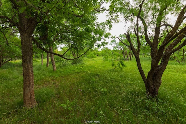 TBD Fm 3116, Anson, TX 79501