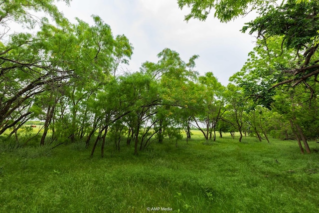 TBD Fm 3116, Anson, TX 79501
