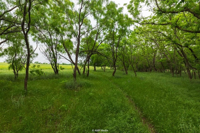 TBD Fm 3116, Anson, TX 79501
