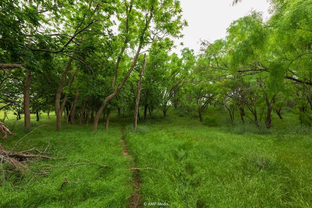 TBD Fm 3116, Anson, TX 79501